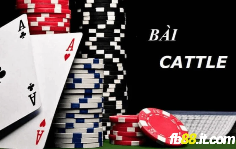 Cát tê tựa game bài fb68 đòi hỏi chiến thuật cao