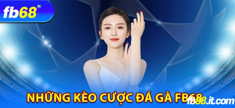 Kèo cược đá gà đơn giản nhưng thưởng cao